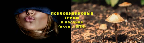 spice Ладушкин